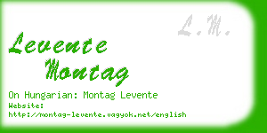 levente montag business card